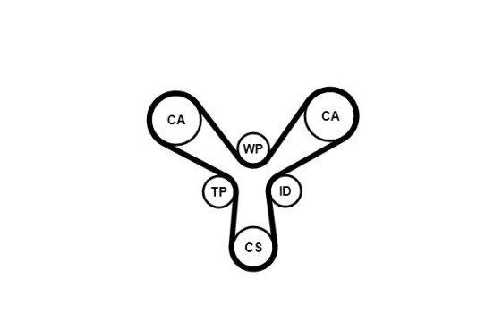 Timing belt CT1087 Contitech, Image 4