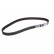 Timing Belt CT1091 Contitech