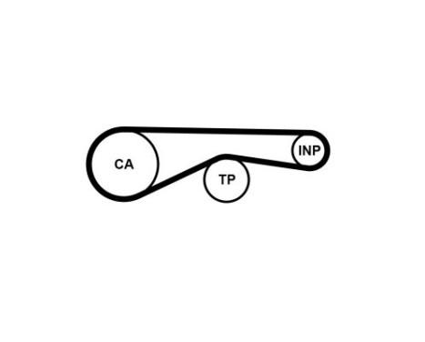 Timing Belt CT1095 Contitech, Image 4