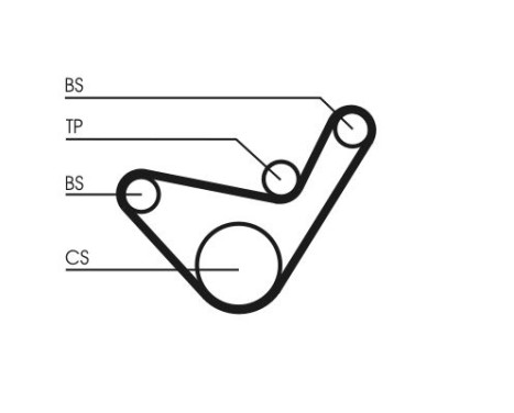 Timing Belt CT1107 Contitech, Image 3