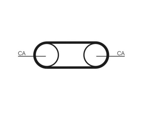 Timing Belt CT1112 Contitech, Image 3