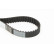Timing belt CT1131 Contitech, Thumbnail 4