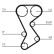 Timing Belt CT1144 Contitech, Thumbnail 4