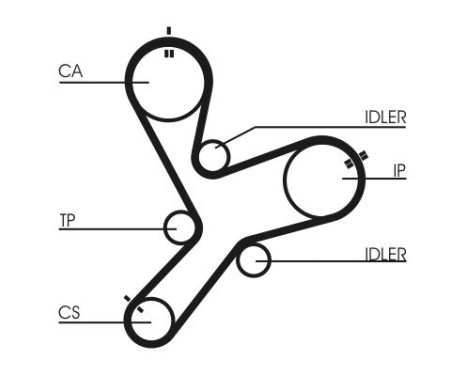 Timing Belt CT1152 Contitech, Image 4