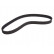 Timing Belt CT1153 Contitech