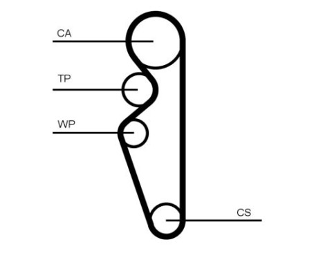 Timing Belt CT1164 Contitech, Image 2