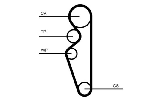 Timing Belt CT1164 Contitech, Image 2