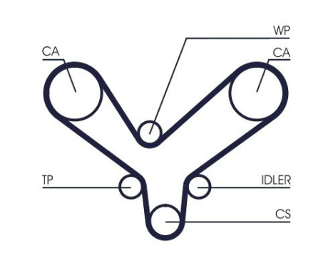 Timing Belt CT1175 Contitech, Image 4