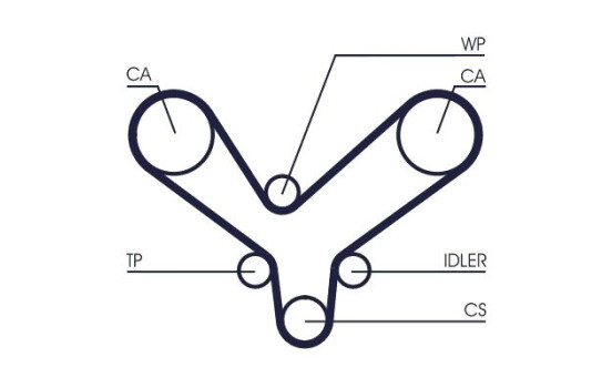 Timing Belt CT1175 Contitech, Image 4
