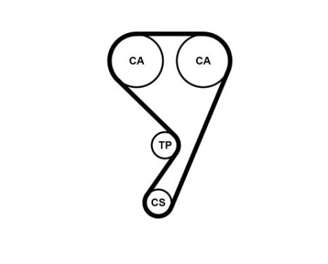 Timing Belt CT1211 Contitech, Image 2