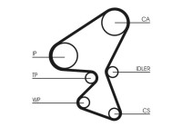 Timing Belt CT1230 Contitech