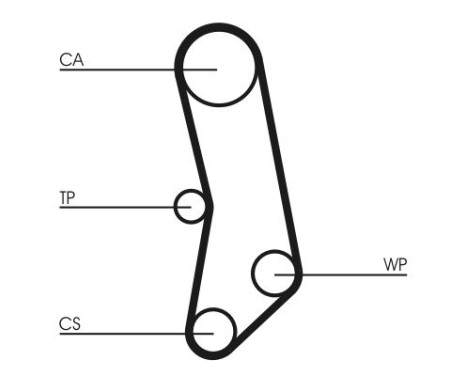 Timing Belt CT503 Contitech, Image 3