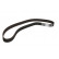 Timing Belt CT512 Contitech