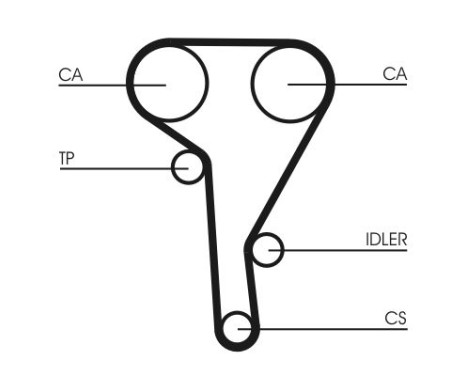Timing Belt CT515 Contitech, Image 5