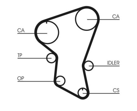 Timing Belt CT516 Contitech, Image 2