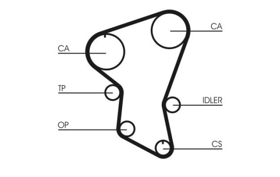 Timing Belt CT516 Contitech, Image 2