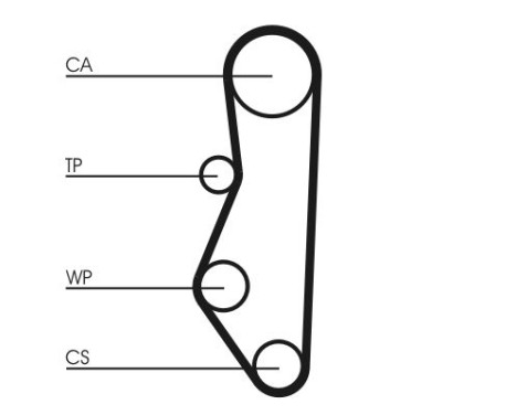 Timing Belt CT527 Contitech, Image 3