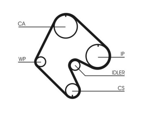 Timing Belt CT529 Contitech, Image 4