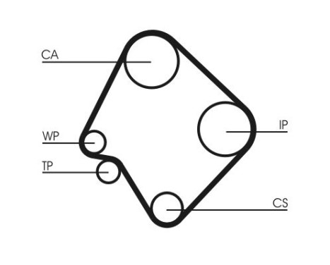Timing belt CT532 Contitech, Image 4