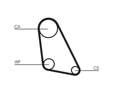 Timing belt CT534 Contitech, Image 4