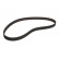 Timing Belt CT536 Contitech