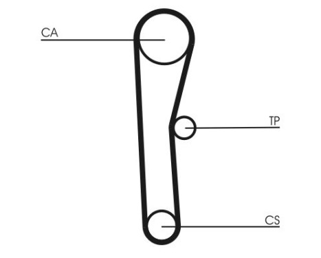 Timing Belt CT536 Contitech, Image 4