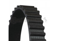 Timing Belt CT556 Contitech