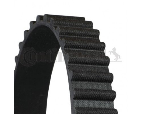Timing Belt CT556 Contitech