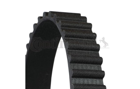 Timing Belt CT556 Contitech