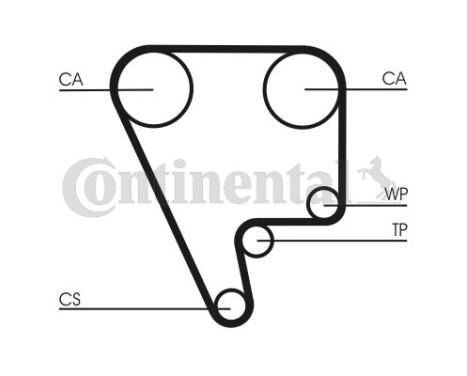 Timing Belt CT556 Contitech, Image 2