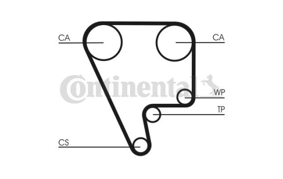 Timing Belt CT556 Contitech, Image 2