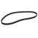 Timing Belt CT557 Contitech