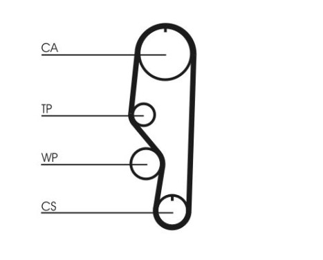 Timing Belt CT557 Contitech, Image 4
