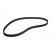 Timing Belt CT558 Contitech