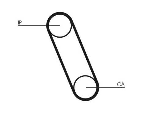 Timing Belt CT561 Contitech, Image 3