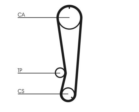 Timing Belt CT569 Contitech, Image 4