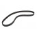 Timing Belt CT589 Contitech