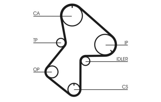 Timing belt CT596 Contitech, Image 4