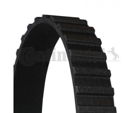 Timing Belt CT598 Contitech