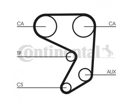 Timing Belt CT598 Contitech, Image 2