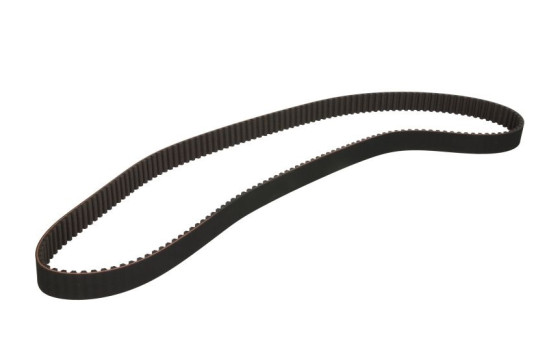 Timing belt CT619 Contitech