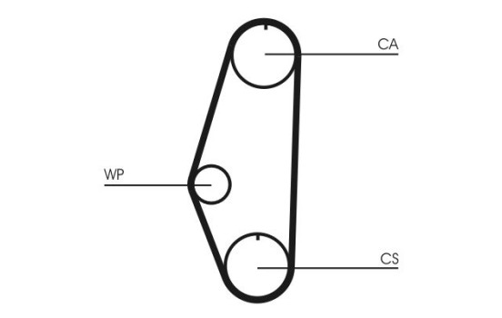 Timing belt CT629 Contitech, Image 3