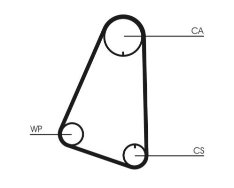 Timing Belt CT633 Contitech, Image 4