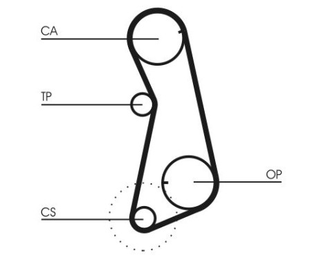 Timing Belt CT637 Contitech, Image 5