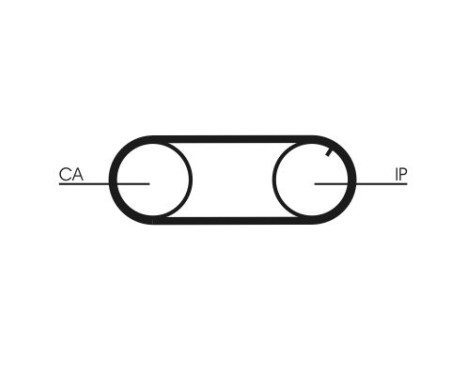 Timing Belt CT641 Contitech, Image 4