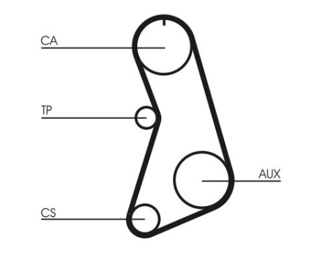 Timing Belt CT647 Contitech, Image 5