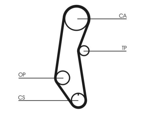Timing Belt CT650 Contitech, Image 3