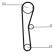 Timing Belt CT669 Contitech, Thumbnail 4