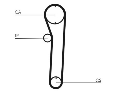 Timing Belt CT669 Contitech, Image 5