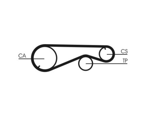 Timing Belt CT673 Contitech, Image 3